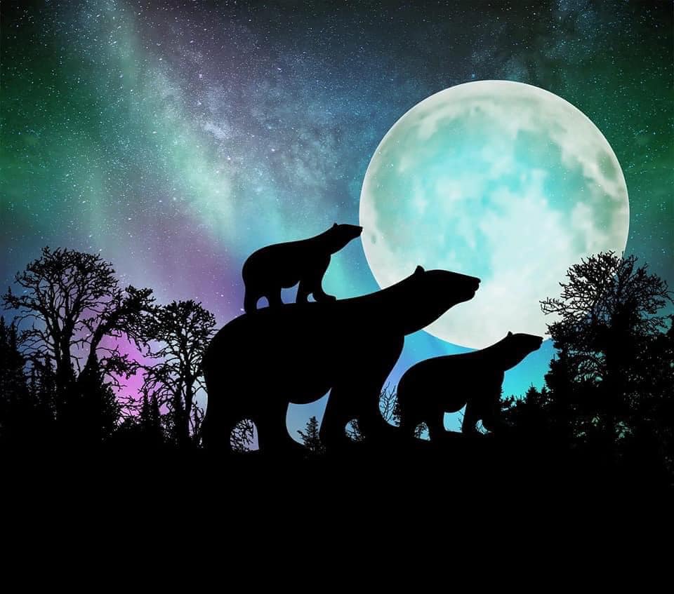 Glow in the Dark Bear Moon