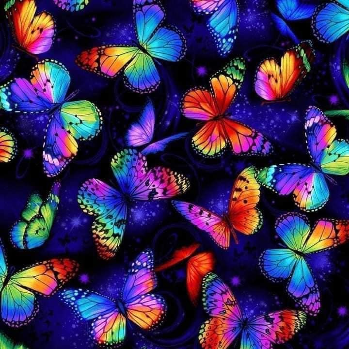 Glow in the Dark Butterflies