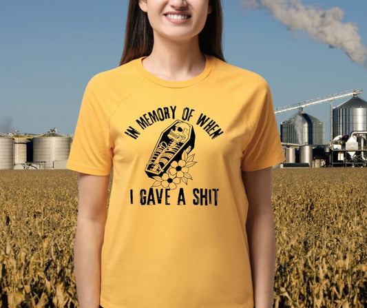 Memory of when I gave a Shit