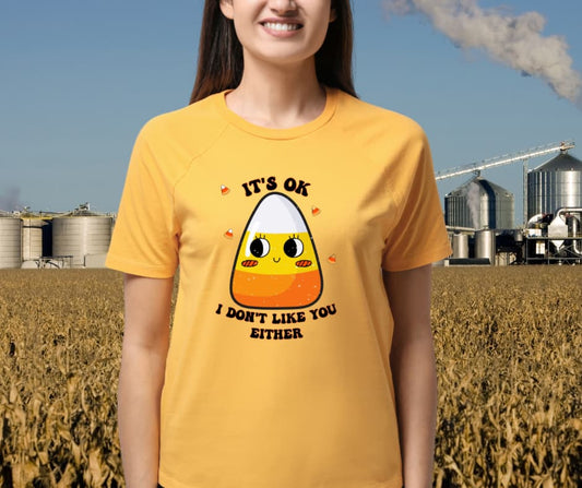 I dont like you Either